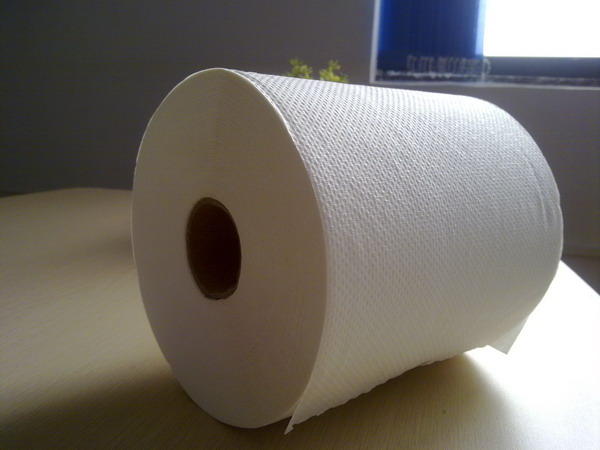 供應卷筒式擦手紙、大卷紙