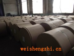 靜電復(fù)印紙、A4復(fù)印紙、醫(yī)療雜志紙、銅版紙、道林紙、書寫紙