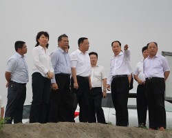 東海島:中央商務區下月掛牌 白卡紙項目月底動工